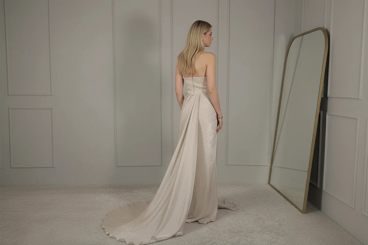 Valencia Silver Evening Gown