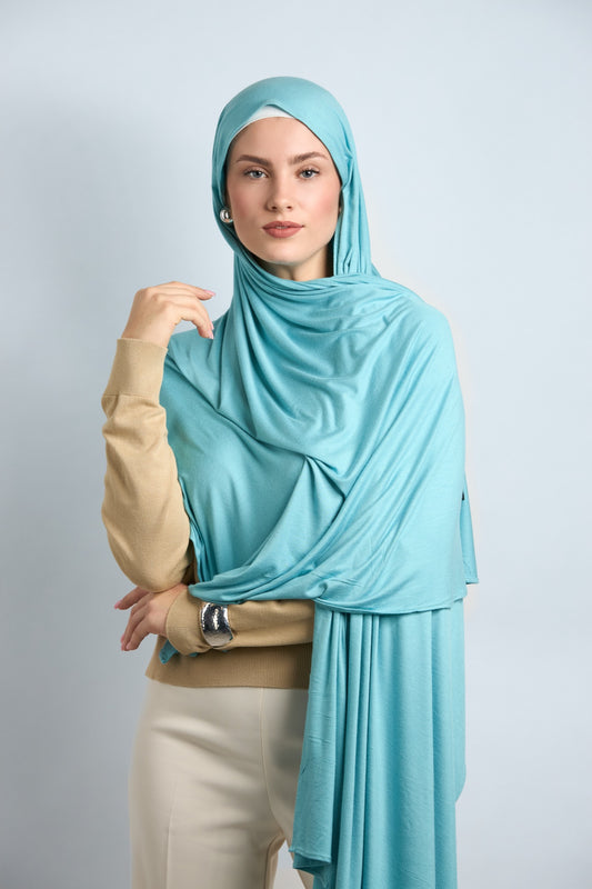 Premium Cotton Jersey Baby Blue #19